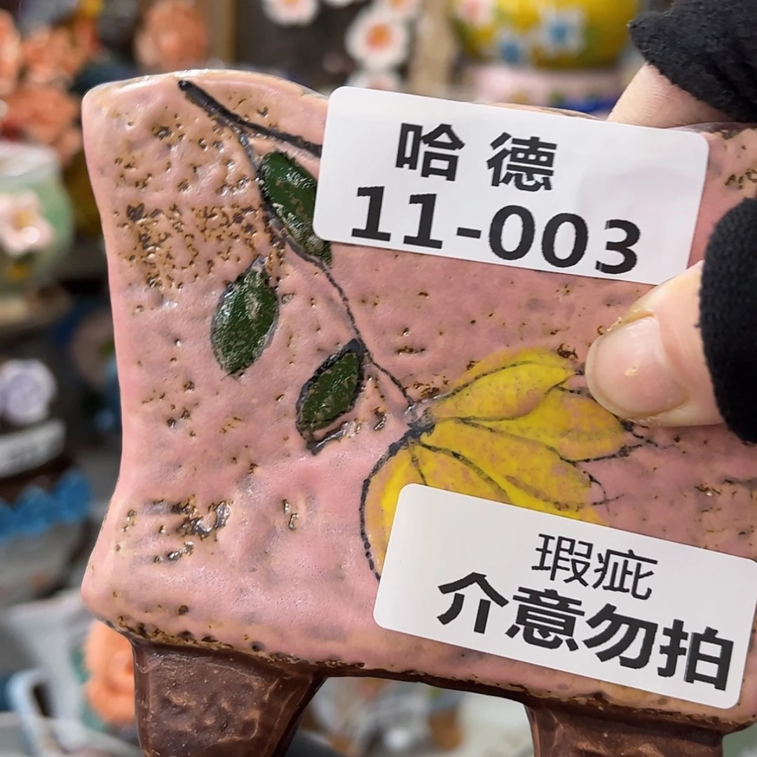 【闪购商品】红陶1103