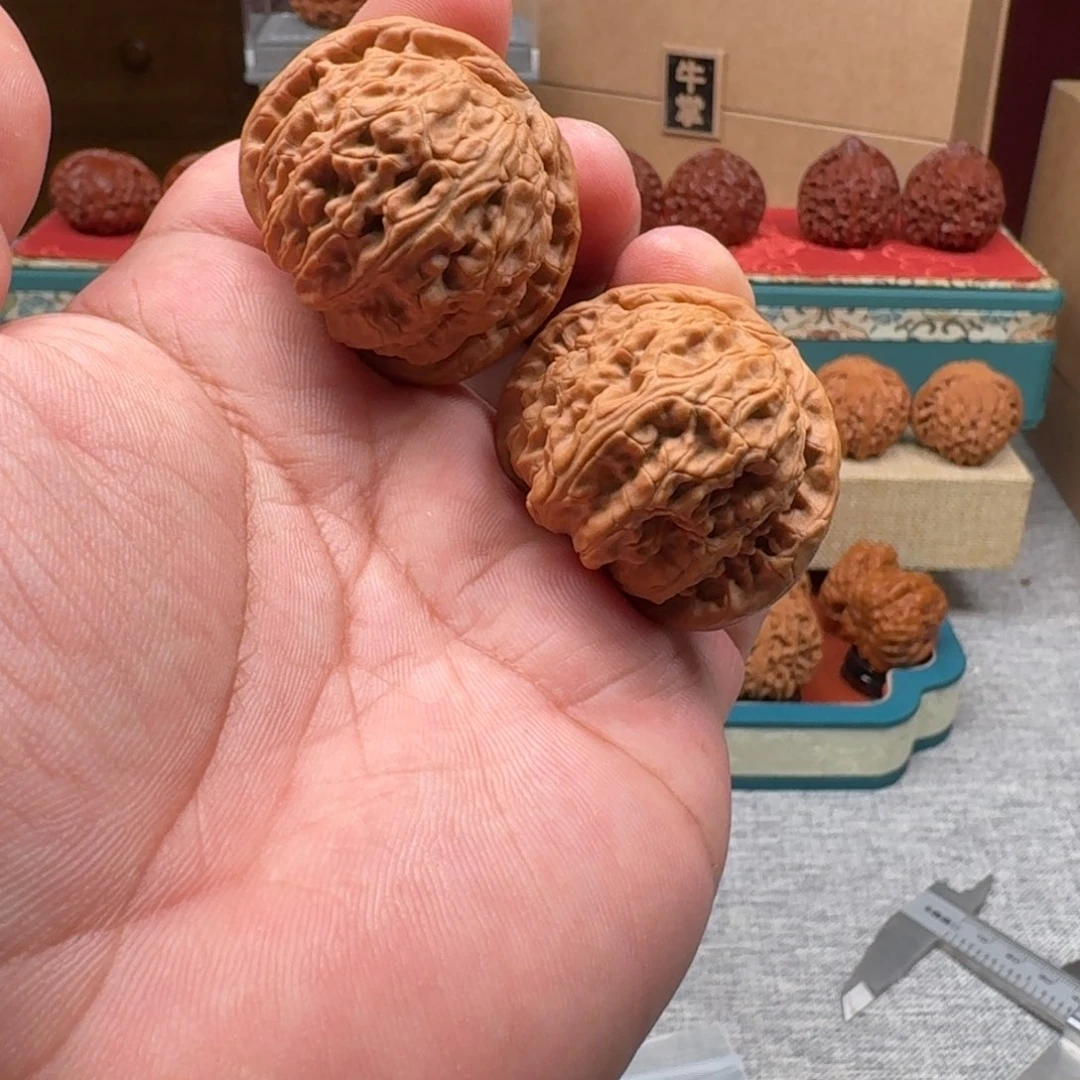 文玩核桃把件白狮100604
