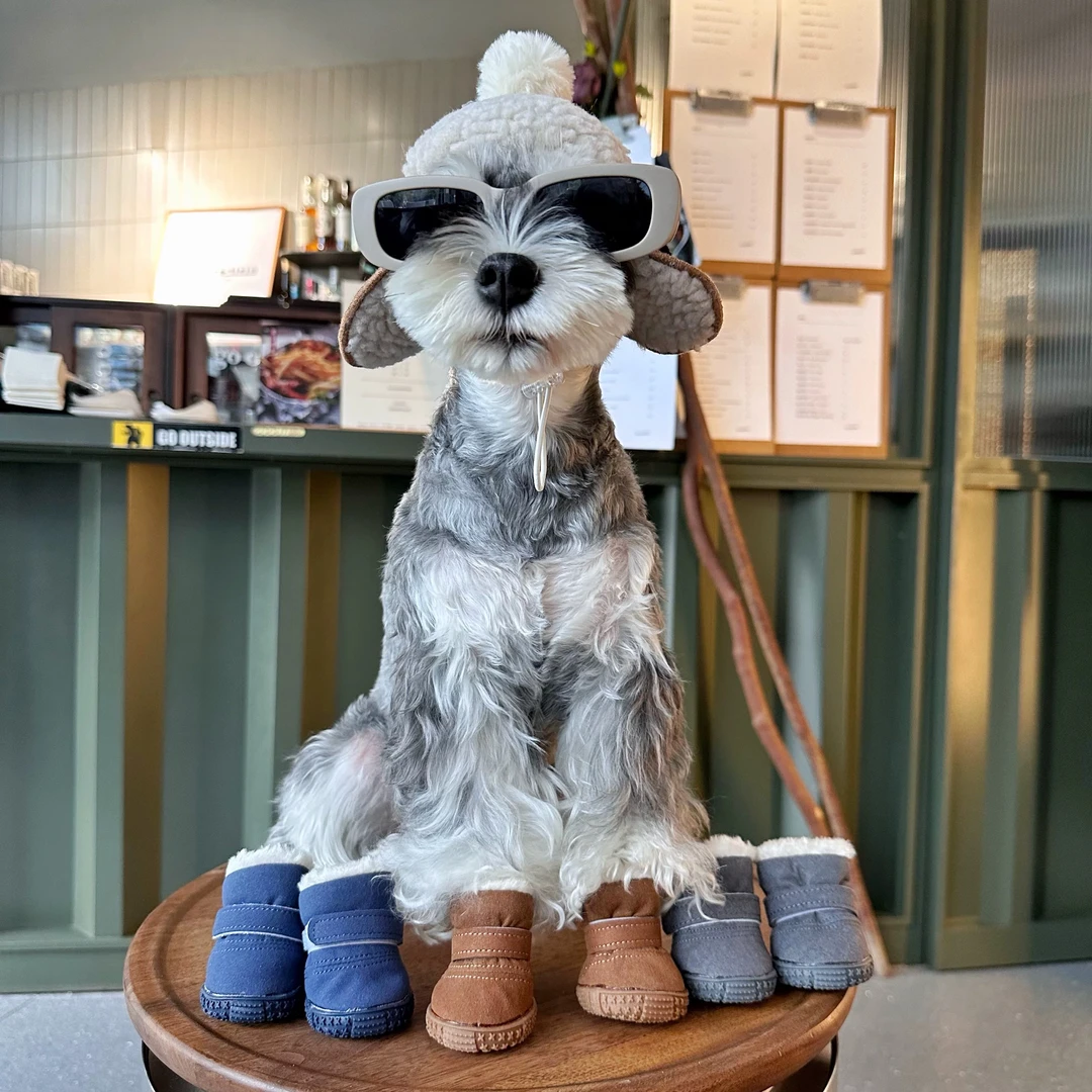 【活动】狗狗宠物服饰用品4只【四】