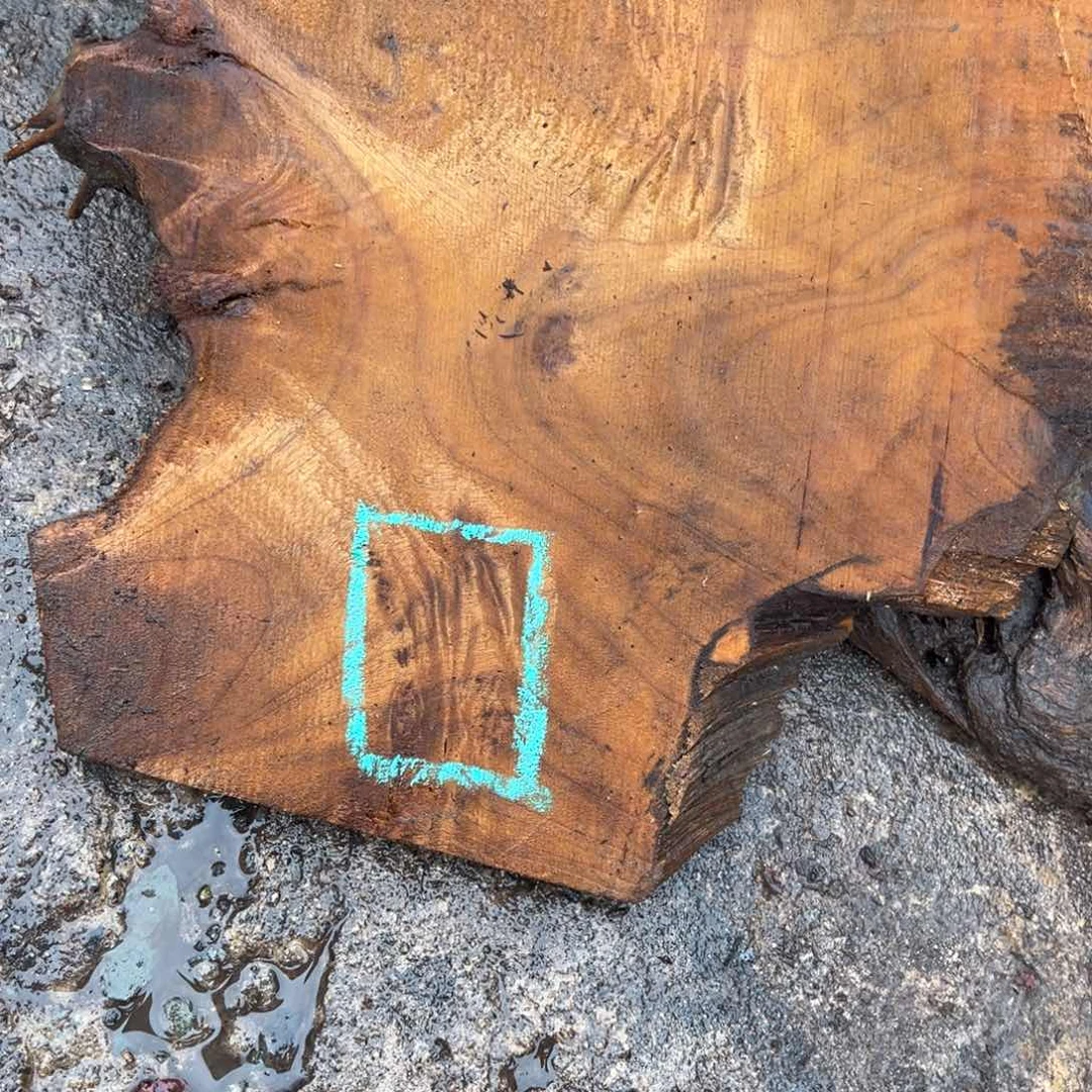 金丝楠你***哥2222222222222。