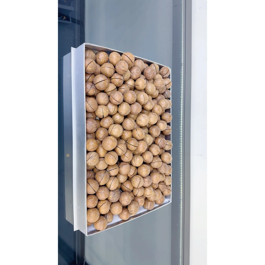 馨选靓货超大号——夏威夷果500g——666