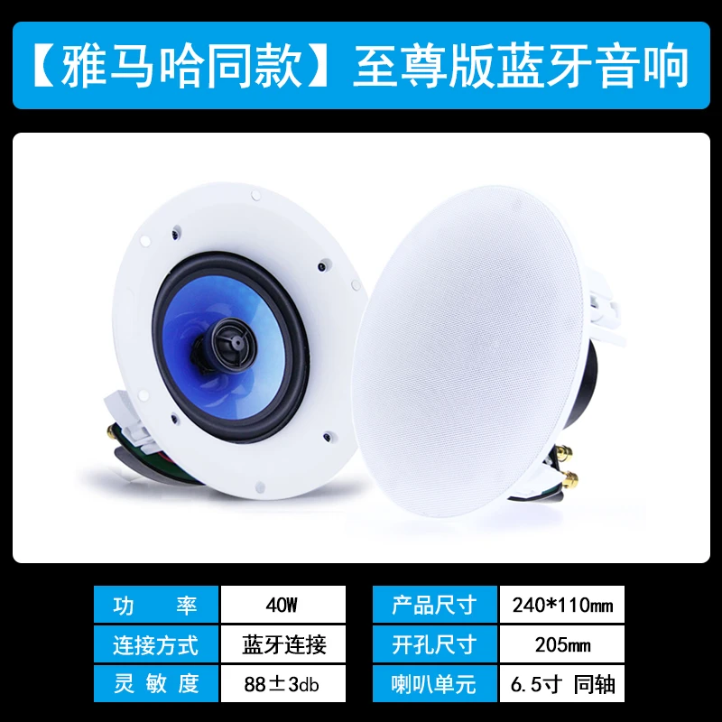 （开孔21CM ）高端蓝牙吸顶音响 大尺寸吸顶音响 同轴喇叭