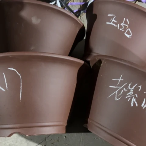 100-4。       31-17