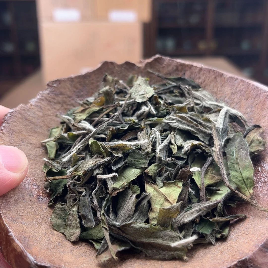 杯方守龙 23秋茶分享30g