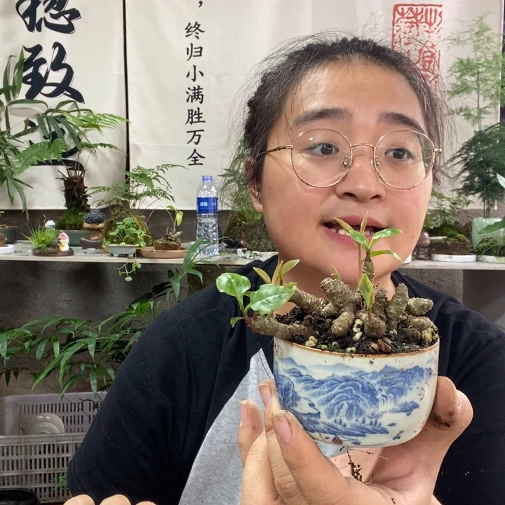 慢***叙无花朵一物一拍76