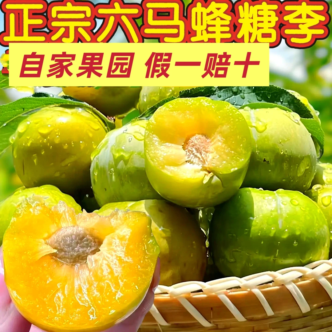 贵州安顺镇宁六马产地直发正宗蜂糖李当季新鲜脆甜水果