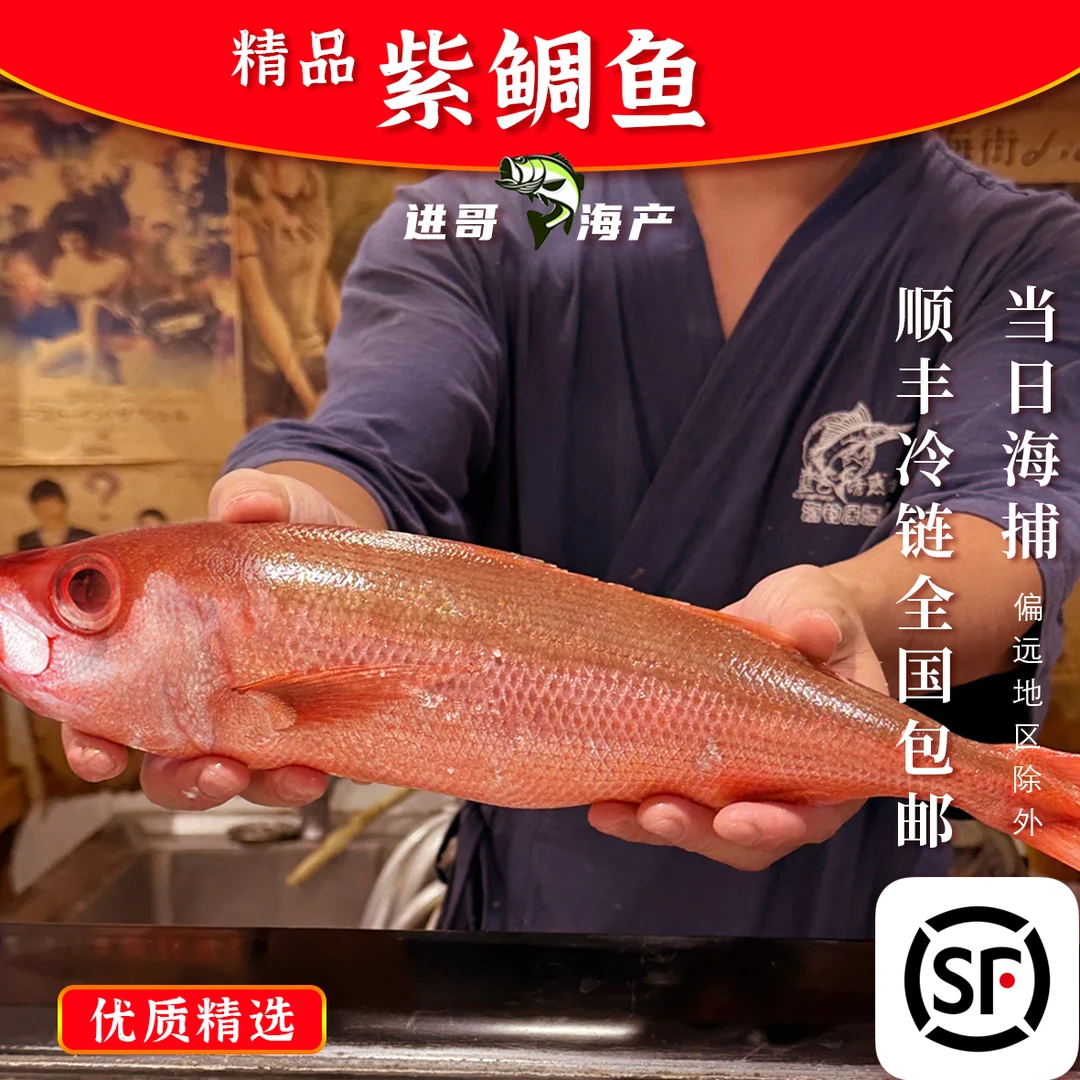 紫鲷鱼/鲷鱼 精品海鱼香煎特别香广东汕尾产地「顺丰冷链包邮」