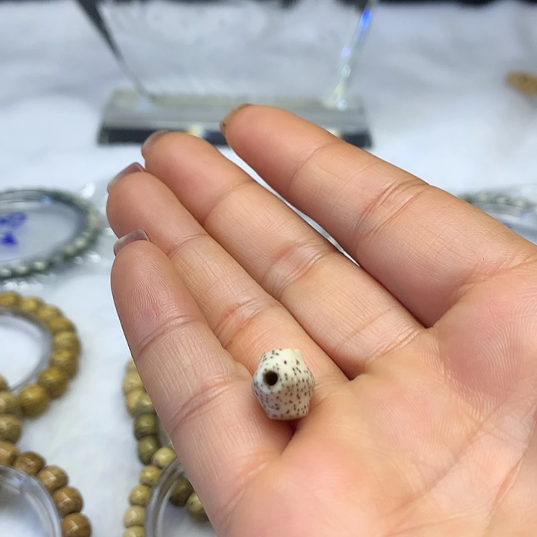 【闪购商品】星月菩提手串苍****店星月菩提