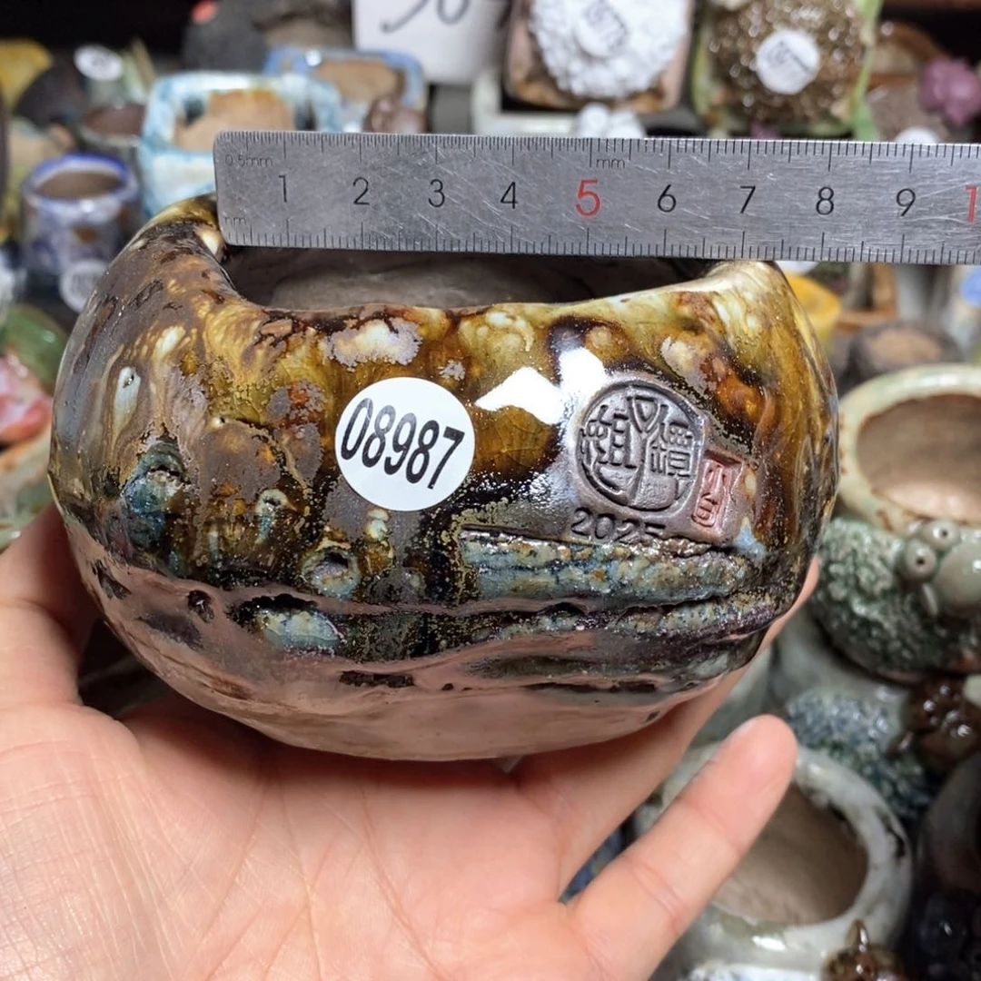 拍3送一个小礼物