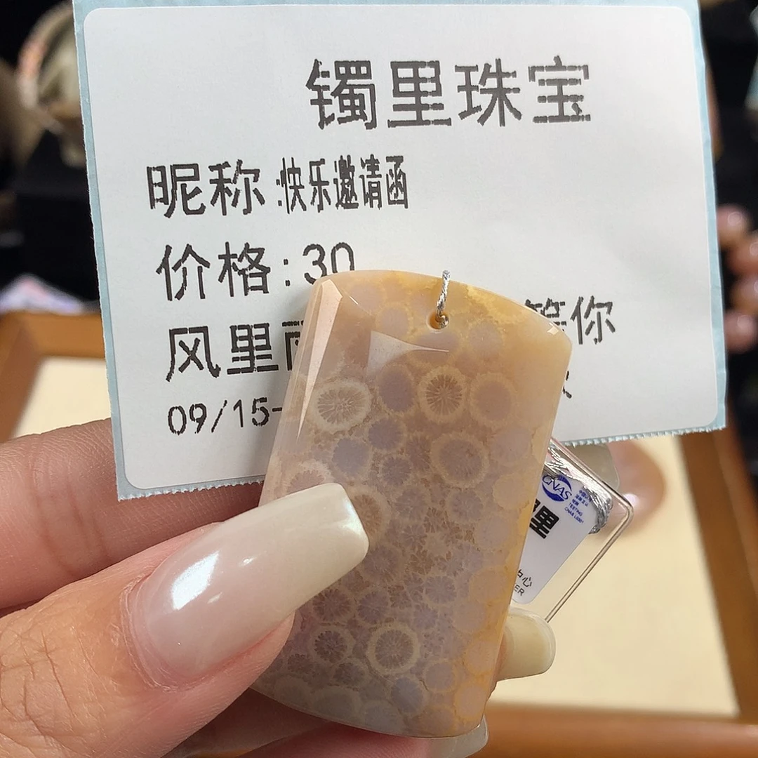 快***函吊坠(赠链)未镶嵌硅化珊瑚（珊瑚玉）