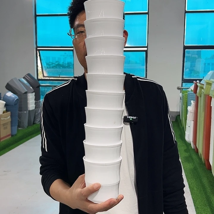 特价竹节口10高10白色10只带托