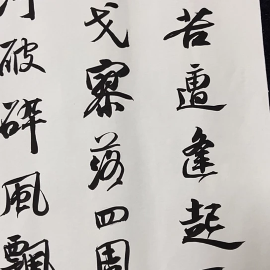 书法张建东老师书法作品
