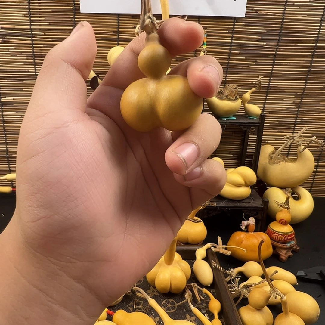 金***子葫芦葫芦葫芦葫芦葫芦