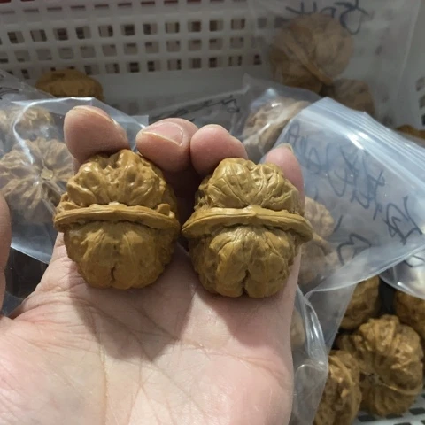 x***x把件文玩核桃哈哈哈哈