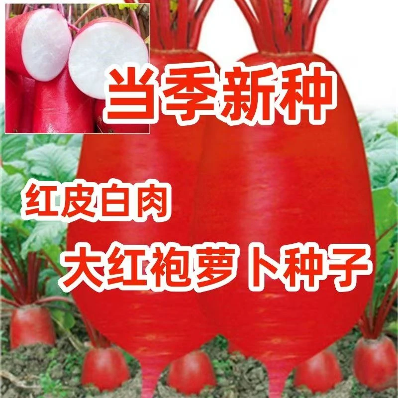 【全店任意满5包包邮】美味大红袍种子