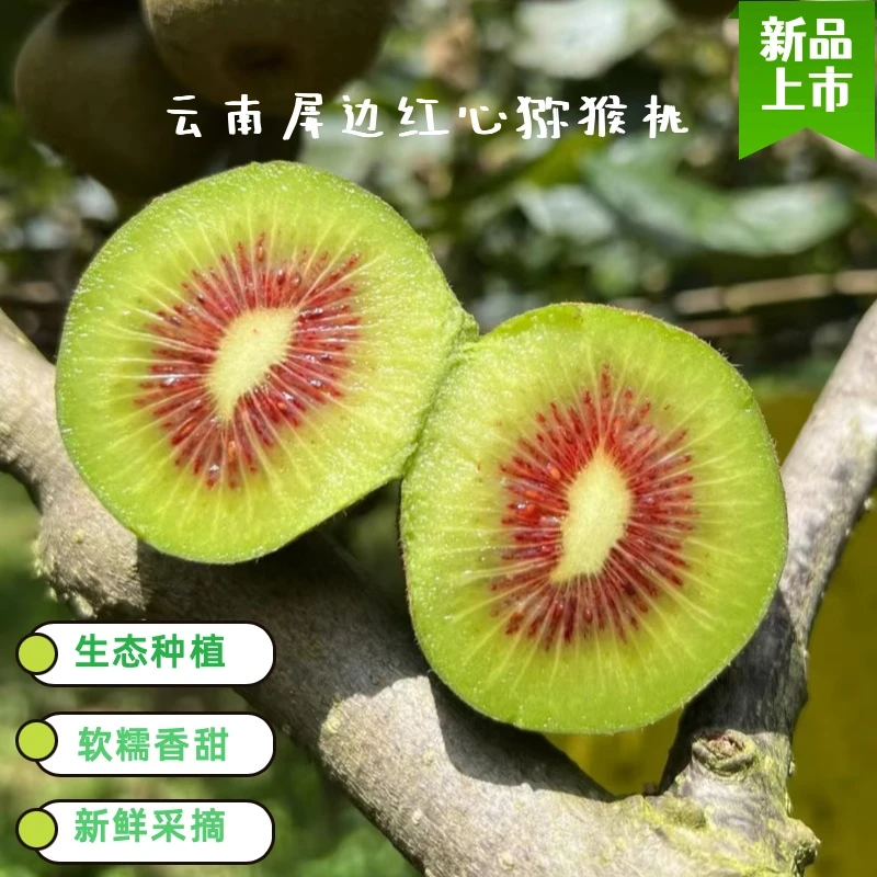 云南屏边红心猕猴桃绿肉红心水果皮薄肉厚香甜多汁特大果