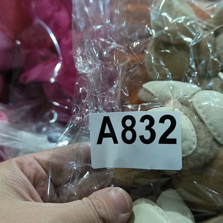 喵***宝832%8888888888888