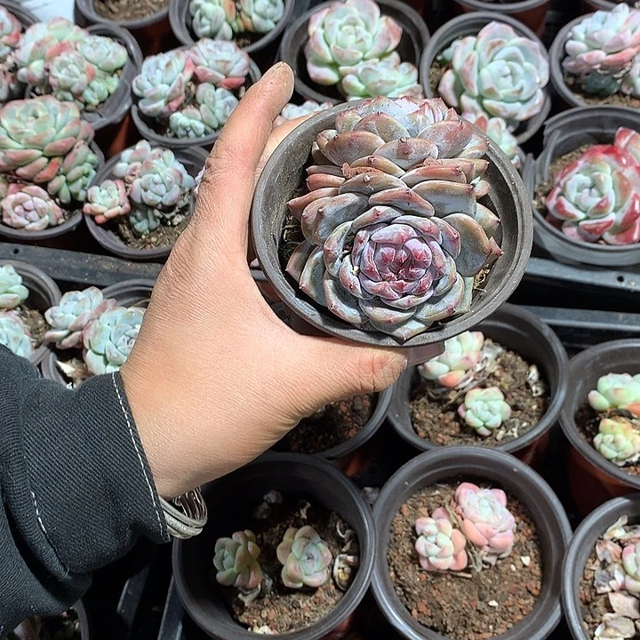 哈哈哈哈哈哈哈哈哈