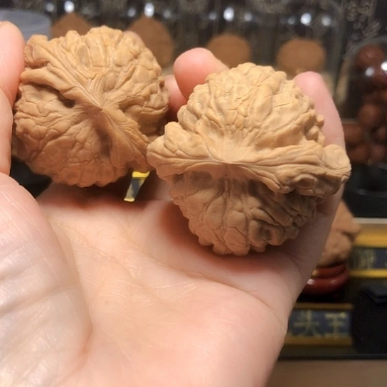 特价秒杀：龙鼎（强迫症勿拍）
