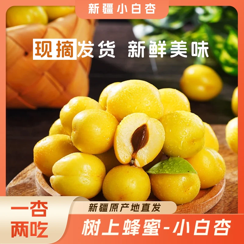 新疆吐鲁番托克逊小白杏现摘生鲜水果软糯多汁产地直发顺丰空运