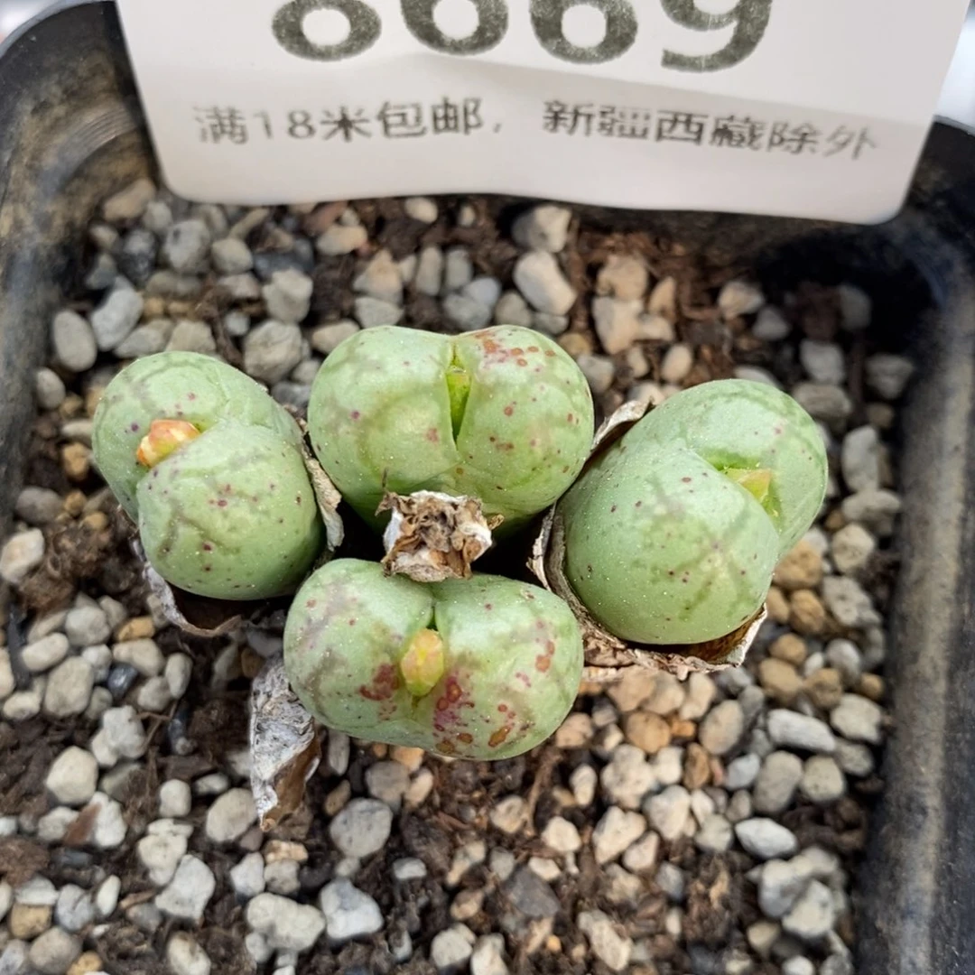 8669。