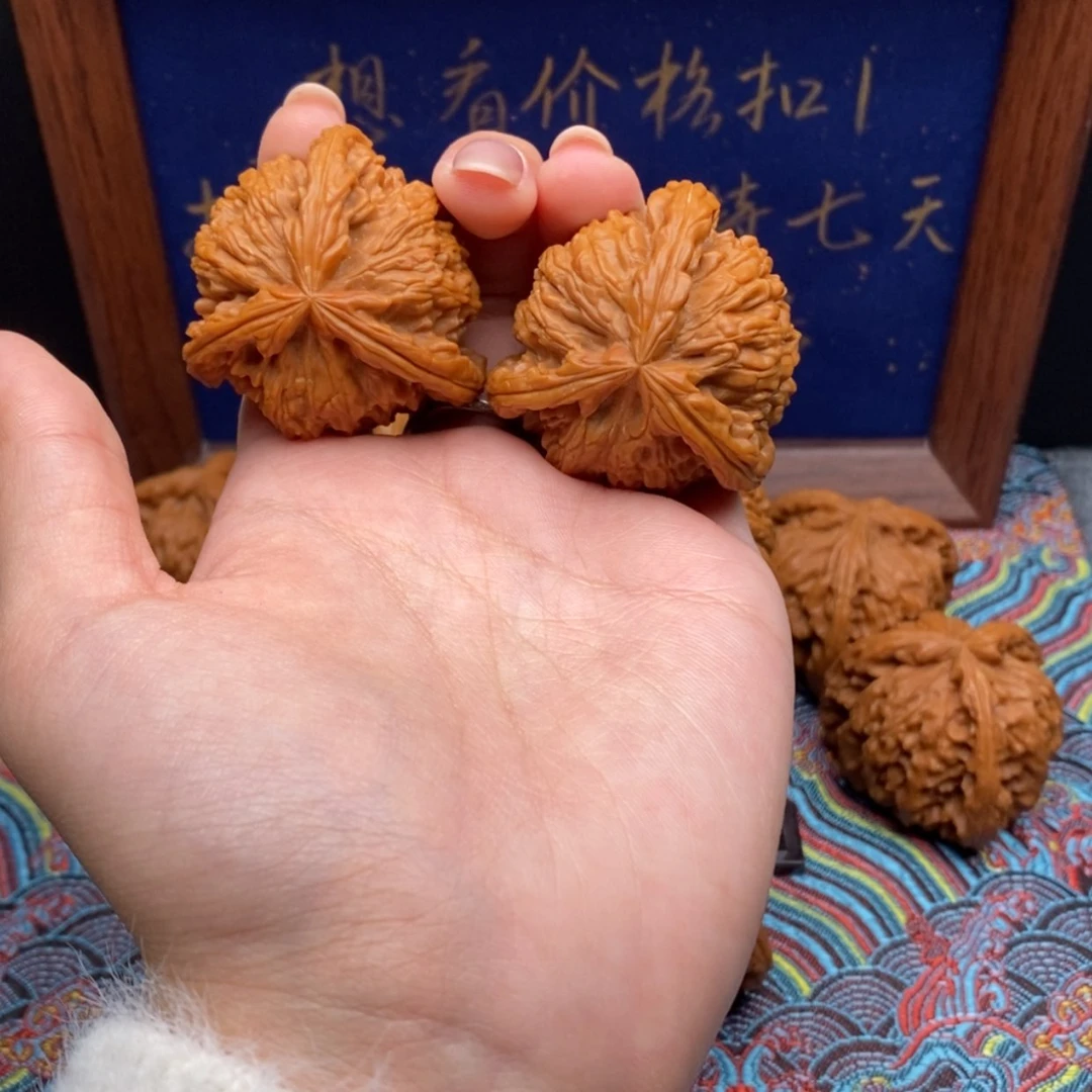 【闪购商品】西**向白狮