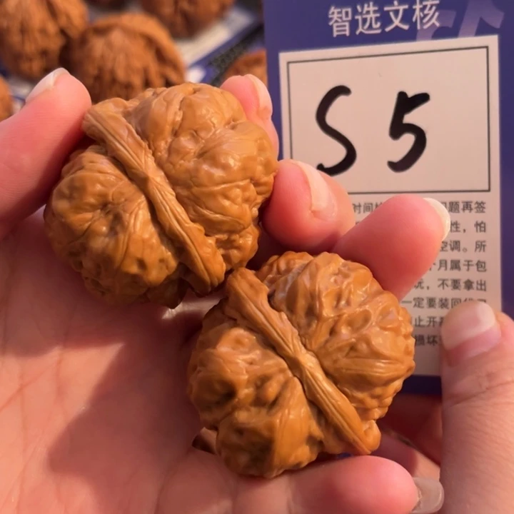 文玩核桃把件S5号蛤蟆头40尺