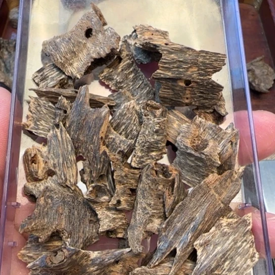 摆件沉香海南野生鸡母虫10克