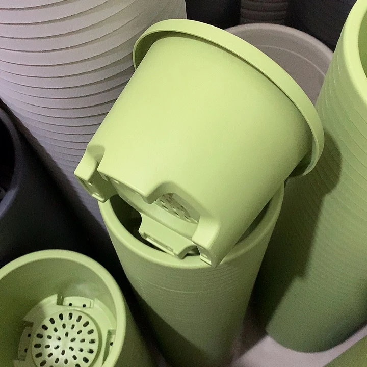 球根口17高12果绿5个