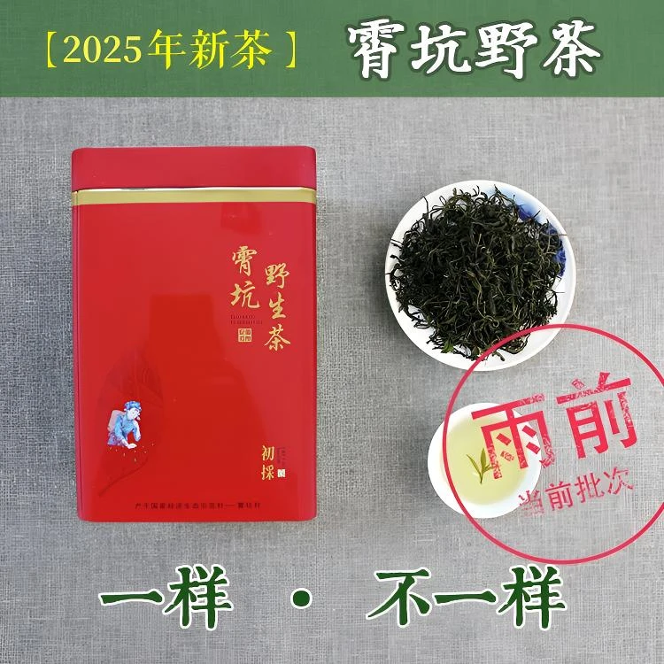 【雨前茶】2025年谷雨霄坑绿茶正宗霄坑村核心产区茶农直销劲大耐泡