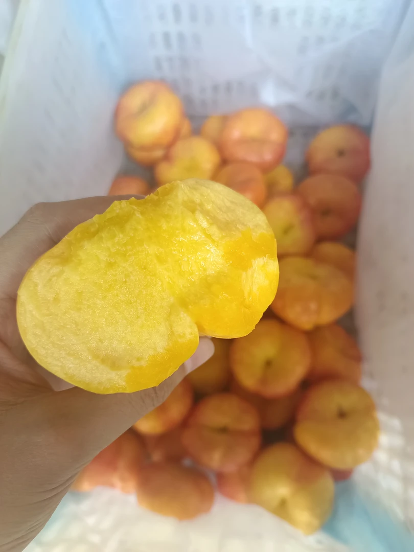 山东蒙阴油蟠桃新鲜应季水果甜嫩多汁现摘包邮