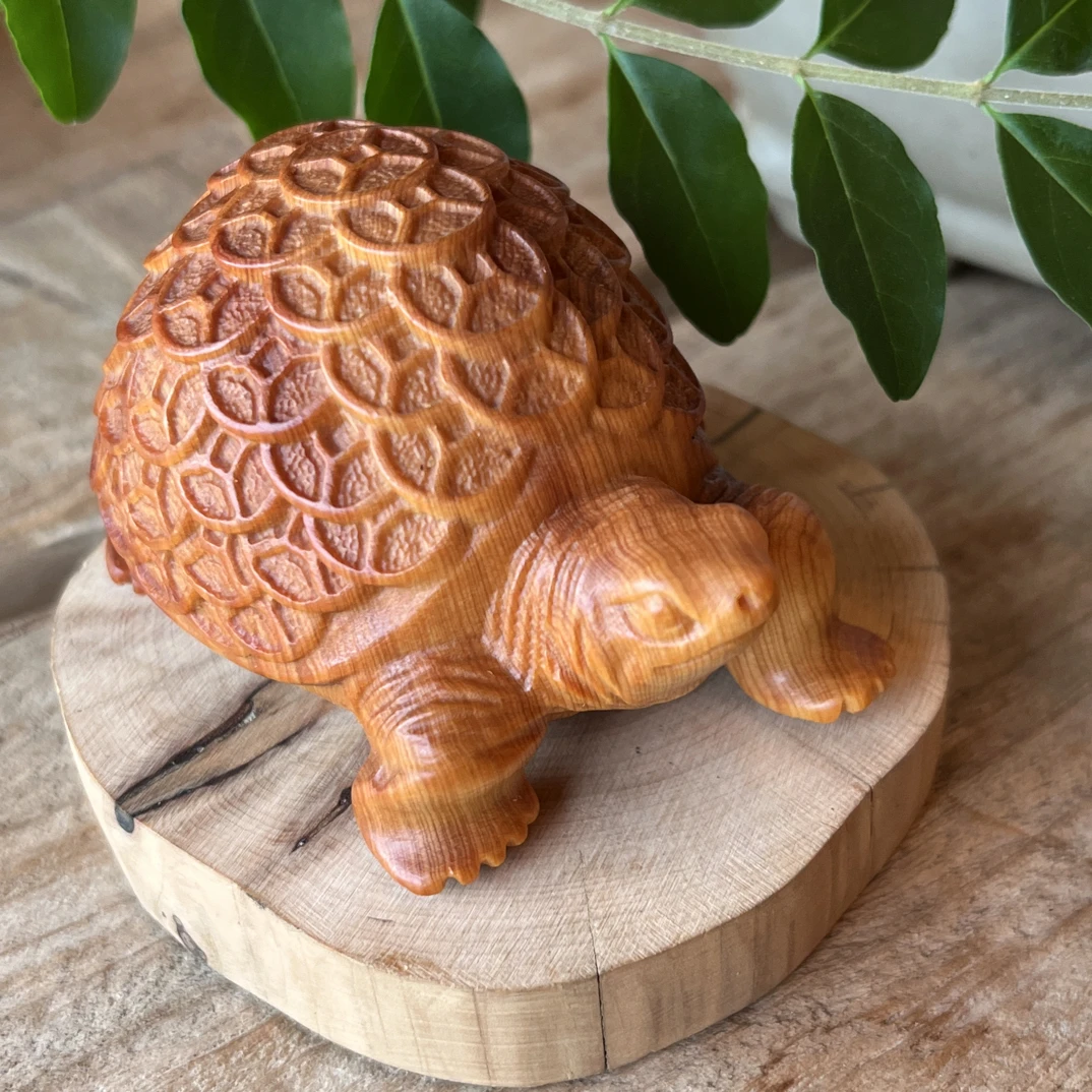 天然崖柏精雕手把件【金钱龟】