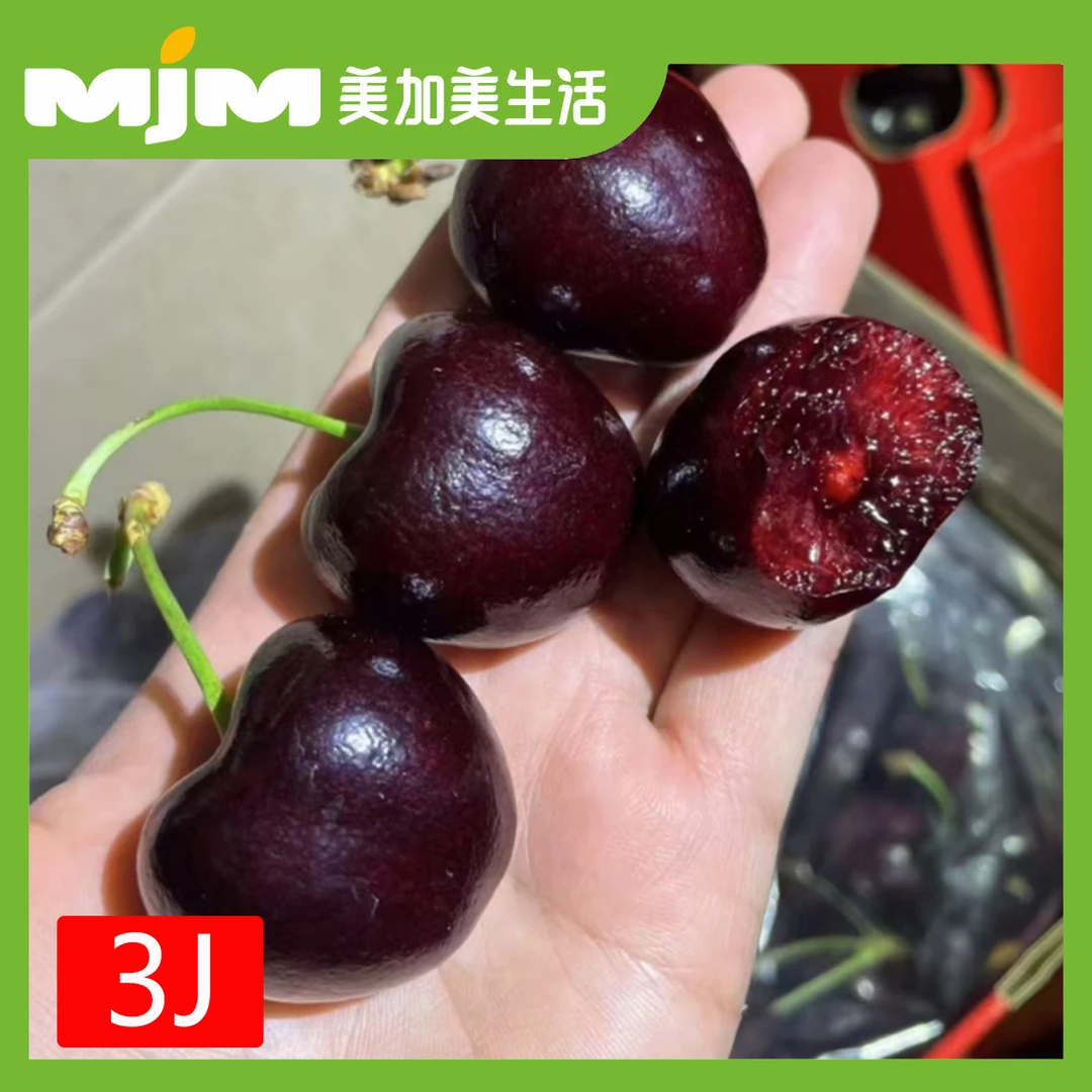 智利车厘子(JJJ）250g/份海运桑提娜智利