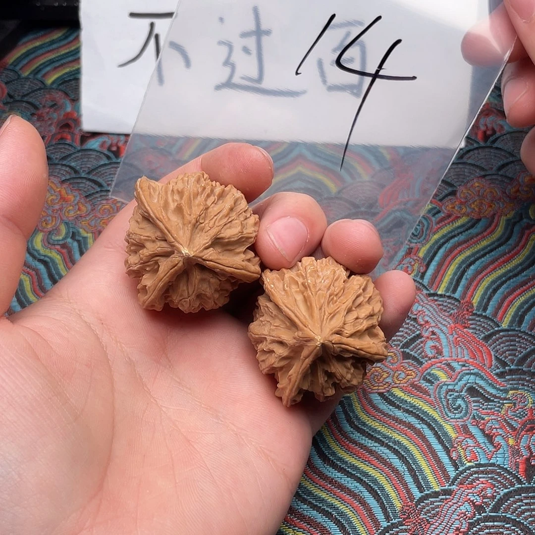 核桃哈哈哈哈哈哈哈哈哈哈哈哈哈哈