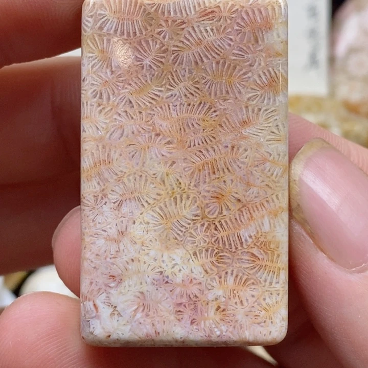 颈饰未镶嵌硅化珊瑚（珊瑚玉）