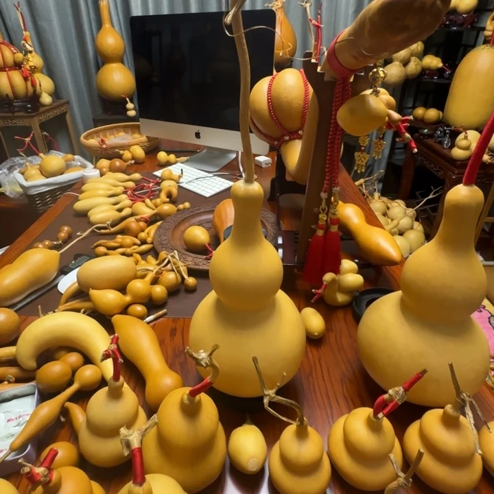 V****精品葫芦精品葫芦