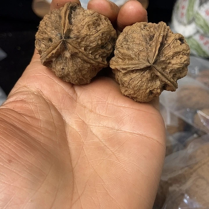 把件文玩核桃云南铁核桃基地66