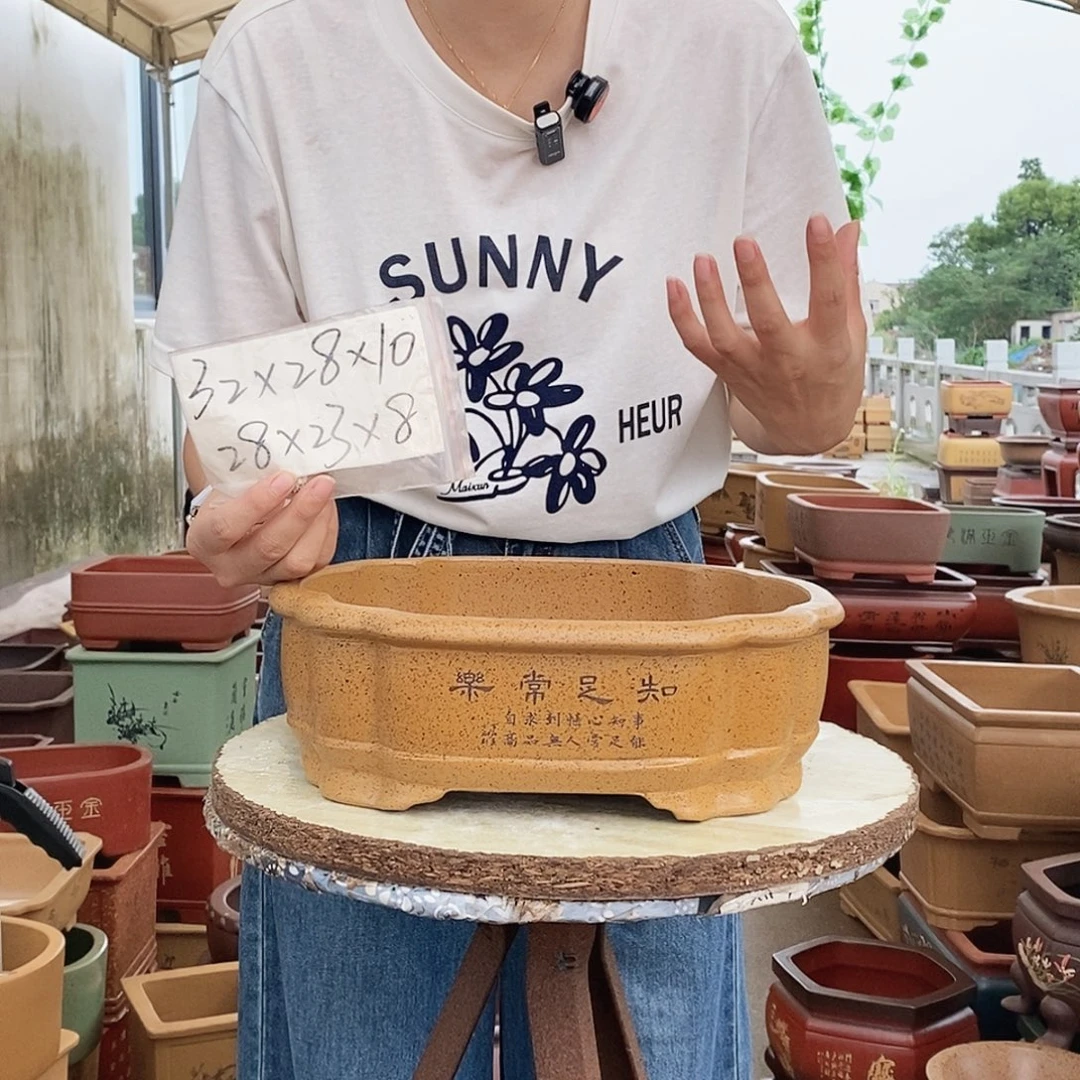 紫砂花盆紫砂花盆