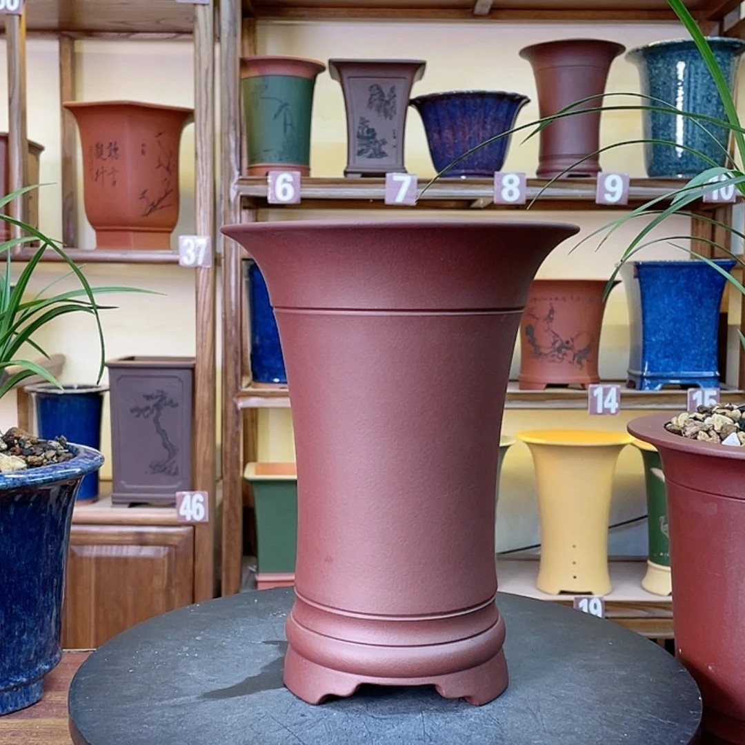 【闪购商品】紫砂花盆兰花452552558566525888