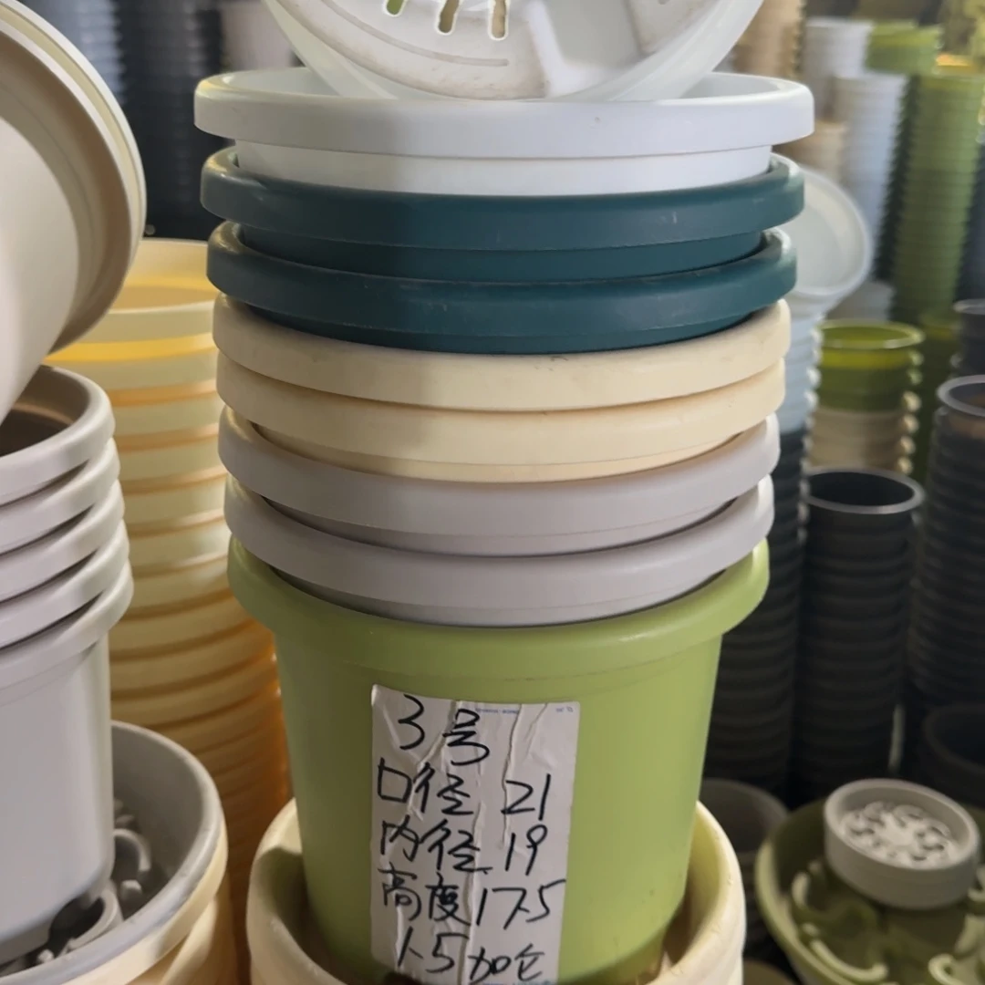 四季3#口径21带拖果绿10套