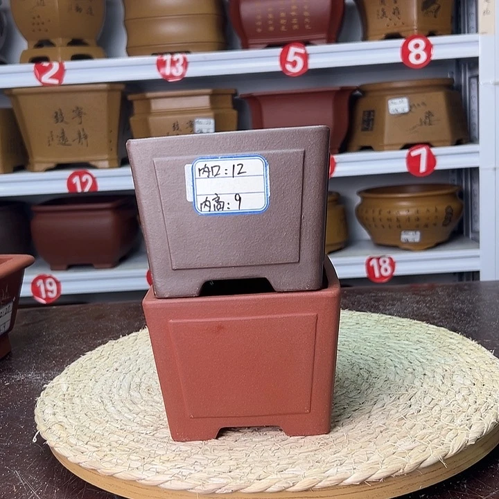 紫砂花盆蛇年大吉