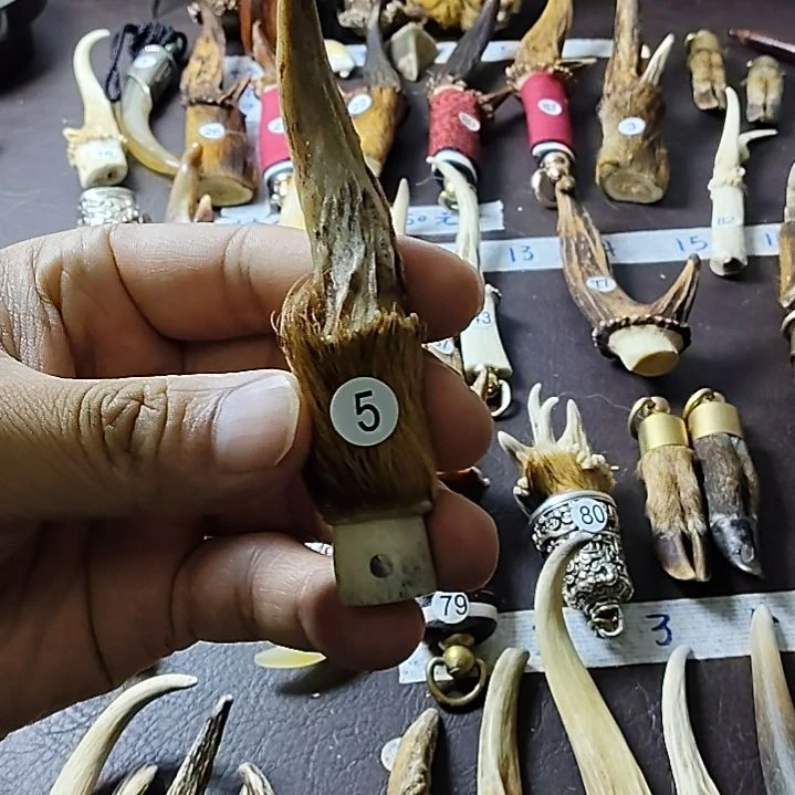鸿乐堂直播间选货
