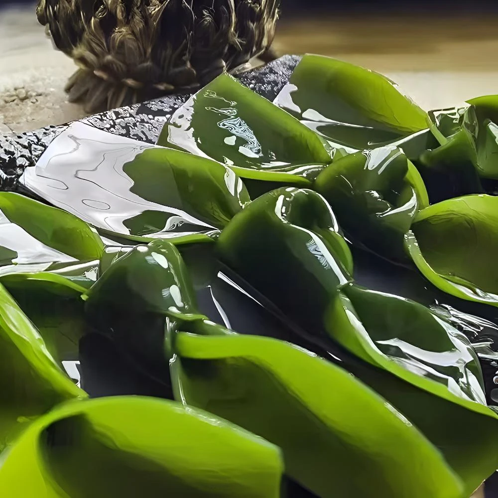 1000g海带结新鲜特厚绿海带结盐渍海带大扣火锅串串商用食材批发