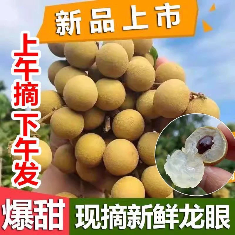 广西平南特产石硖龙眼新鲜现摘清甜多汁2025当季水果桂圆批发整箱