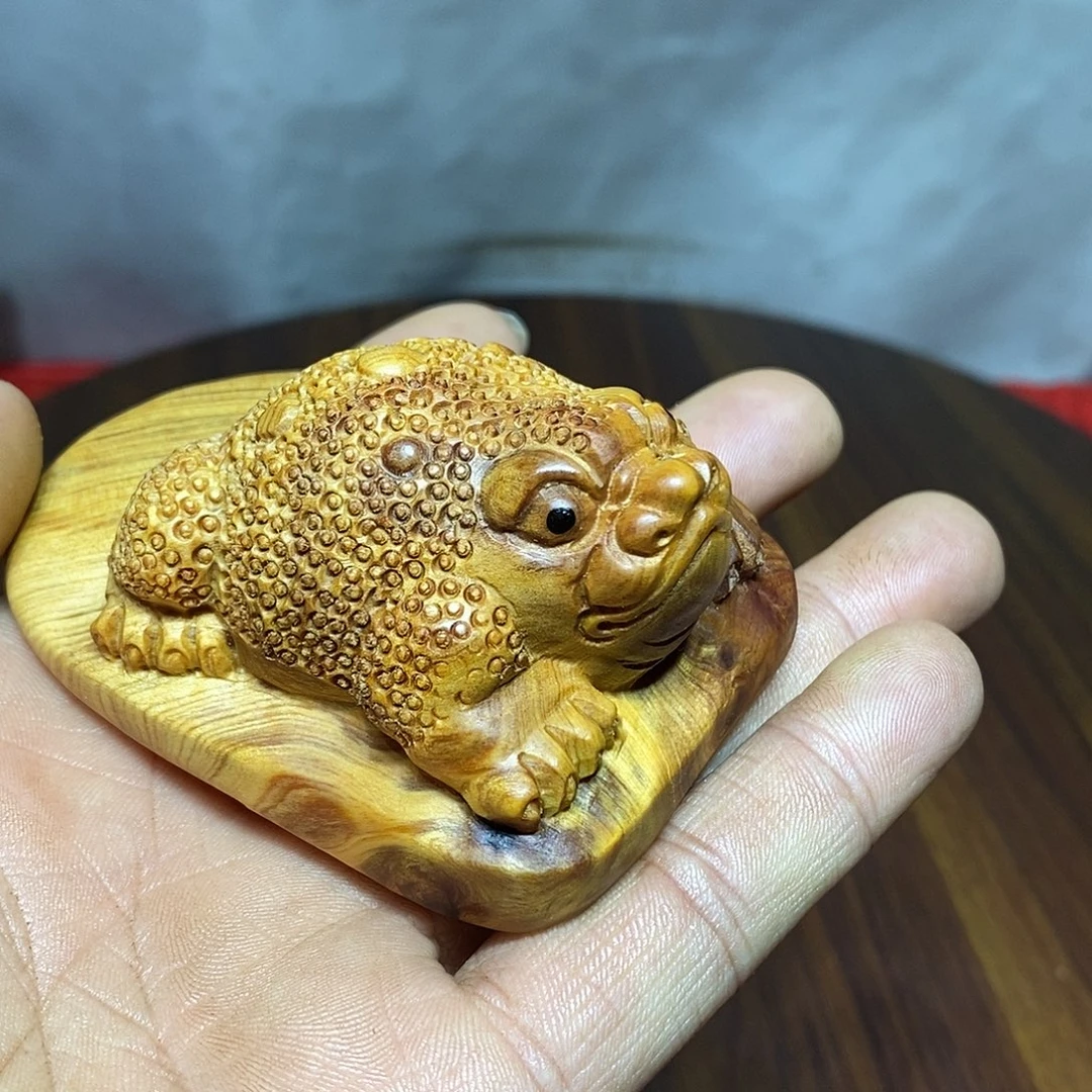 l***c柏木（崖柏）崖柏呱呱