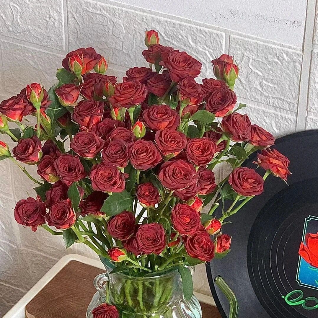 巧克力多头玫瑰3枝（全场任意两单包邮河南省内今天拍明天到）