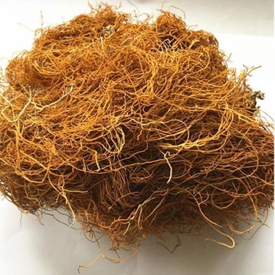 【金丝红雪茶】野生金丝红雪茶正宗云南高山山货