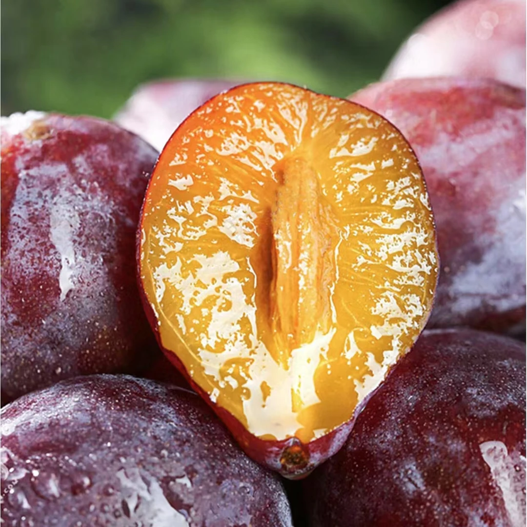 新疆新鲜西梅饱满多汁香甜可口当季水果西梅精选大果【顺丰包邮】