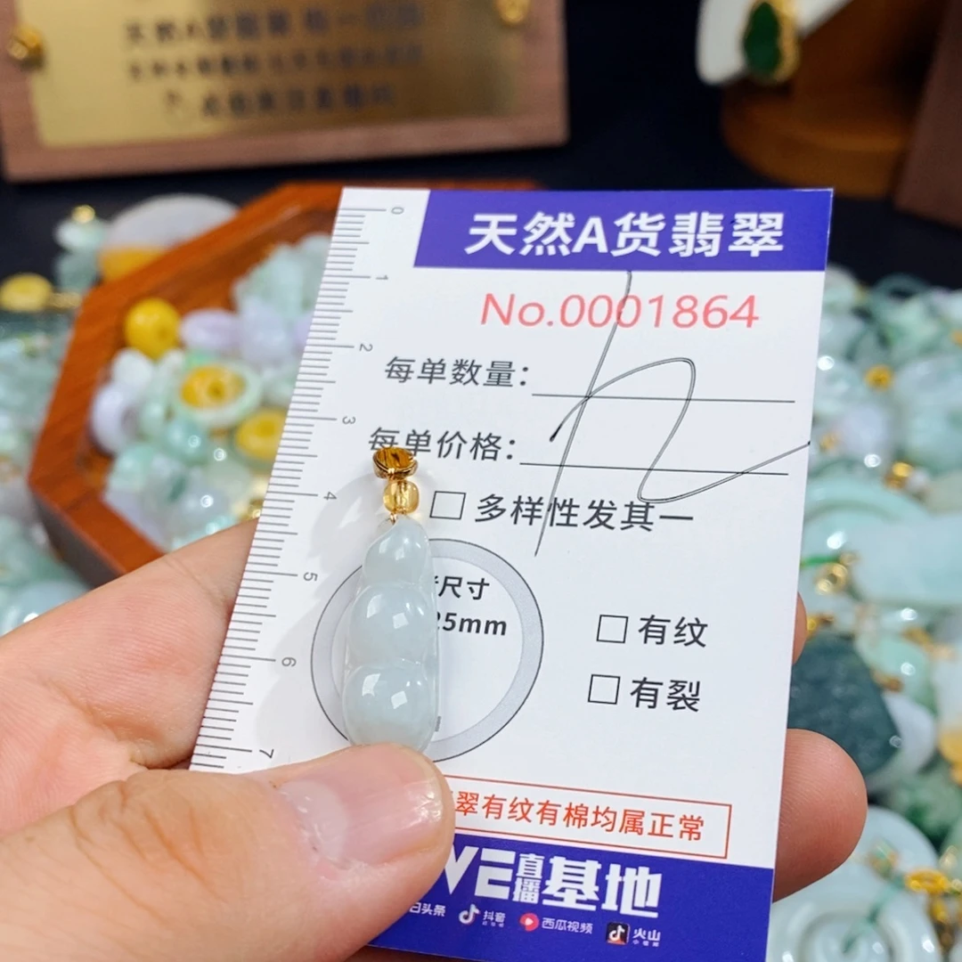 颈饰未镶嵌翡翠1864