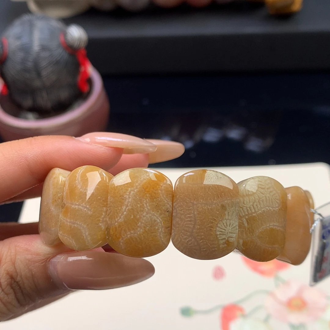 【闪购商品】颈饰未镶嵌硅化珊瑚（珊瑚玉）12号 脑纹 润